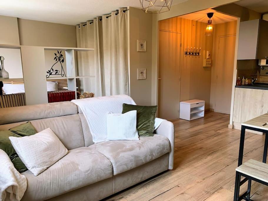 Appartement Cosy Proche Centre Draguignan Kültér fotó