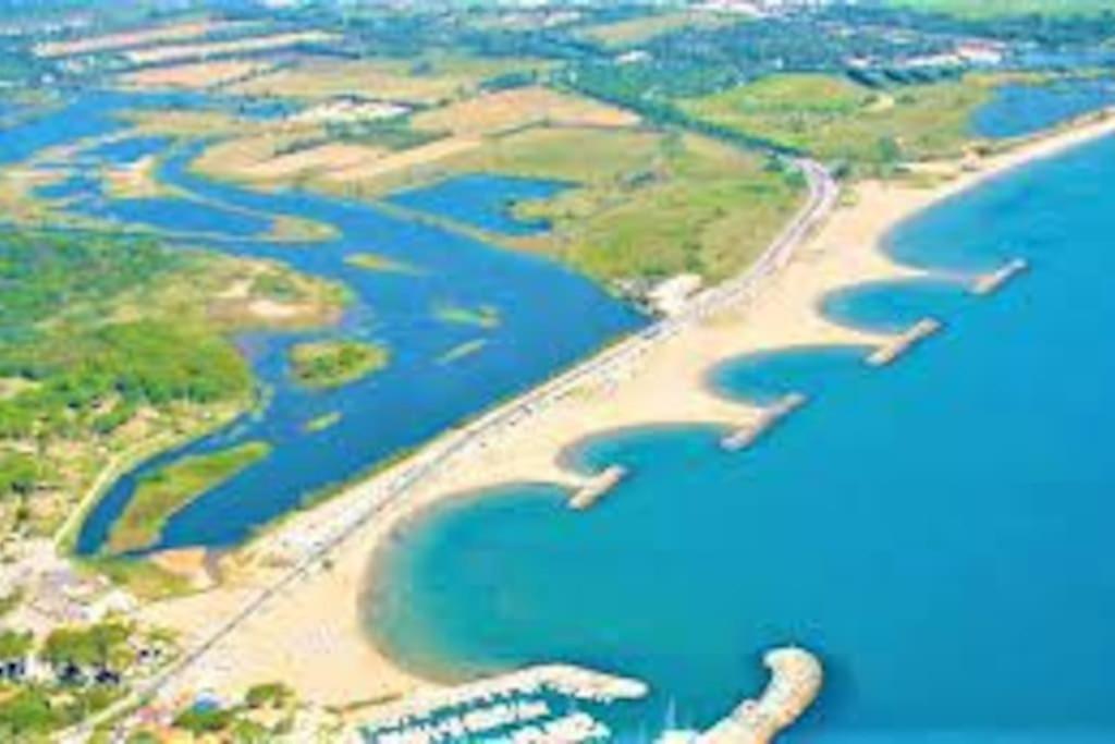 Appartement Cosy Proche Centre Draguignan Kültér fotó